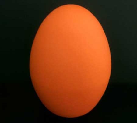target-DinoEgg